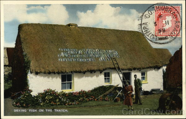 Drying Fish on the Thatch Ireland