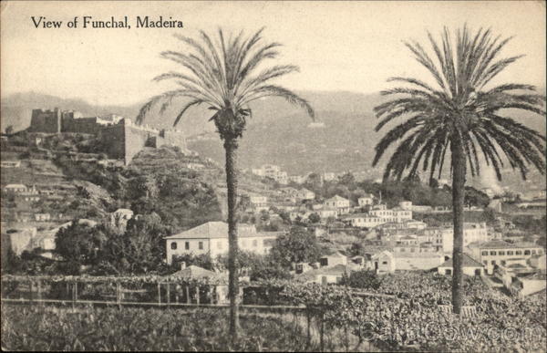 View of the City Funchal Madeira Portugal