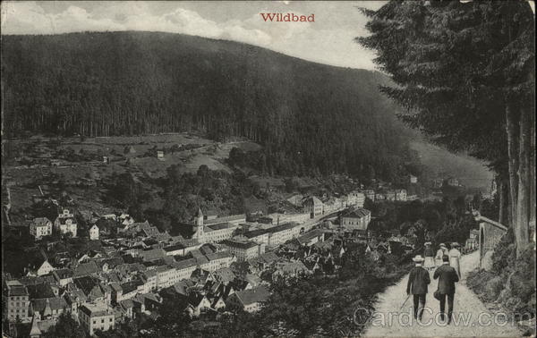 Aerial View of Town Wildbad Germany