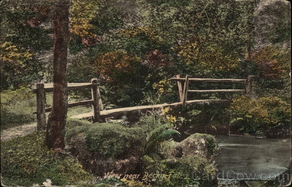 View Near Becky Fall Dartmouth England