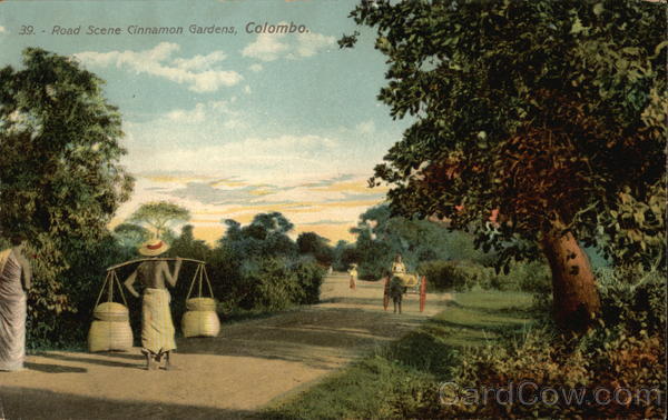 Cinnamon Gardens Colombo Sri Lanka Southeast Asia