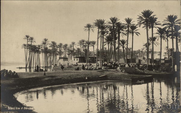General View of Bedrechen Cairo Egypt Africa