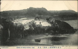 Whale Fishery Postcard