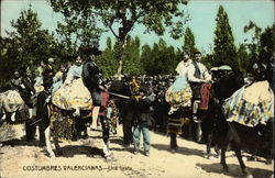 Fiesta - Traditional Costumes Postcard