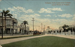 Linea Street at Vedado Postcard