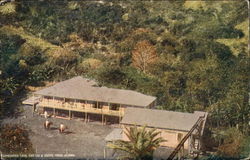 Stock #344987 Thumbnail