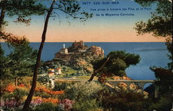 Vue Prise a Travers les Pins et le Pont de la Moyenne Corniche Postcard