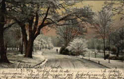 Winter Scene in Slottsskogen Postcard