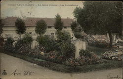 Le Jardin Colonial - Les Laboratories Postcard