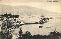 Coast of Madeira, Harbor View Postcard