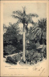 Jardines de la Concepcion Postcard
