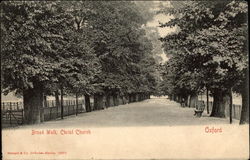 Broad Walk, Christ Church Oxford, England Oxfordshire Postcard Postcard