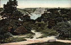 Clifton Downs Postcard