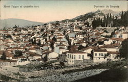 Mont Pagus et quartier turc - Souvenir de Smyrne Postcard