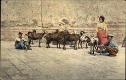 Stock #345438 Thumbnail