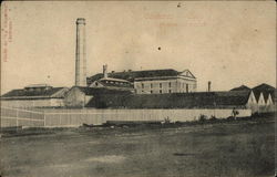 Refineria de azúcar Postcard