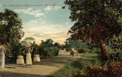 Stock #345482 Thumbnail