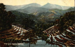 Stock #345483 Thumbnail