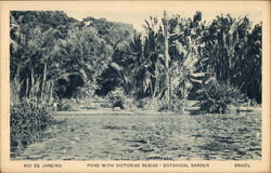 Botanical Gardens - Pond with Victorias Regias Rio de Janeiro, Brazil Postcard Postcard