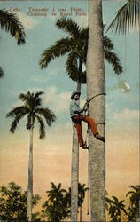 Stock #345498 Thumbnail