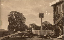 Little Hampden Common Postcard