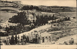 Mount of Olives Postcard