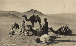 The Prayer in the Desert Postcard