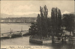 View of Ile J.J. Rousseau Postcard