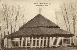 Plaza de Gallos - Cock Pit Postcard