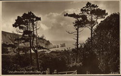 The Needles from Alum Bay Postcard