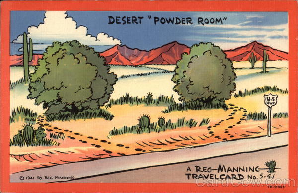 Desert Powder Room Comic, Funny