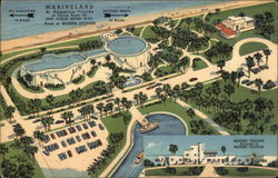 Marine Studios Marineland, FL Postcard Postcard