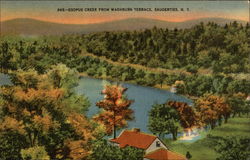 Esopus Creek From Washburn Terrace Saugerties, NY Postcard Postcard