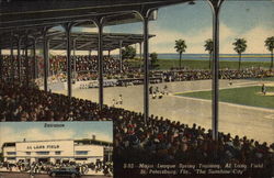 Major League Spring Training, Al Lang Field St. Petersburg, FL Postcard 