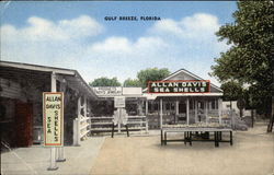 Allan Davis Sea Shells and Souvenirs Gulf Breeze, FL Postcard Postcard