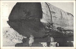 Giant Redwood Log Postcard