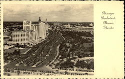Biscayne Boulevard, Looking North Postcard