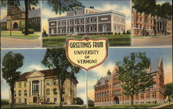 Greetings from University of Vermont Postcard