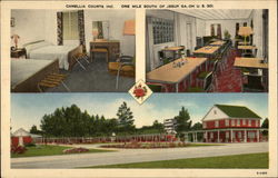 Camellia Courts Jesup, GA Postcard Postcard