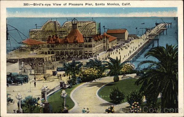 Bird's-Eye View of Pleasure Pier Santa Monica California