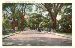 Hale Street - Historic Elm Beverly, MA Postcard Postcard