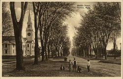 Middle Street Hadley, MA Postcard Postcard
