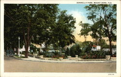 Donnelly Park Mount Dora, FL Postcard Postcard