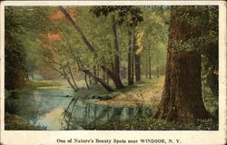 View of River and Trees Postcard