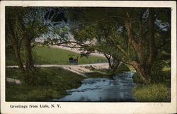 Greetings from Lisle, N.Y Postcard