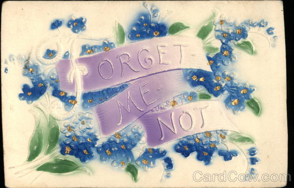 Forget-Me-Not Flowers Airbrushed