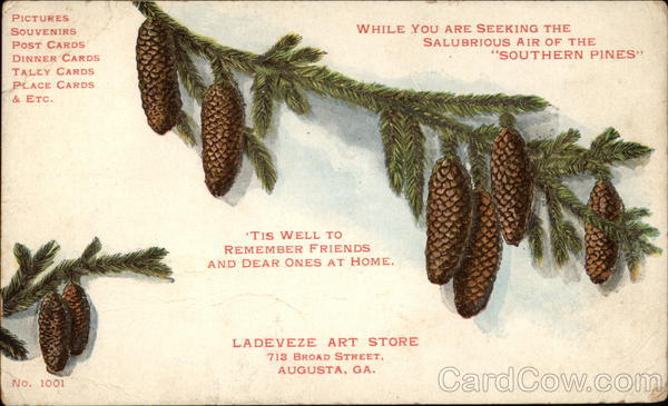 Ladeveze Art Store Augusta Georgia Advertising