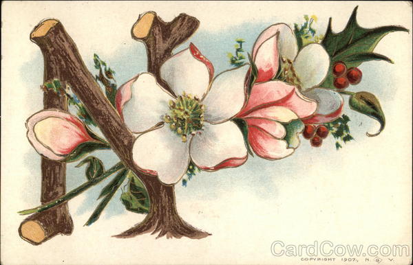 Letter N with Flowers Alphabet Letters