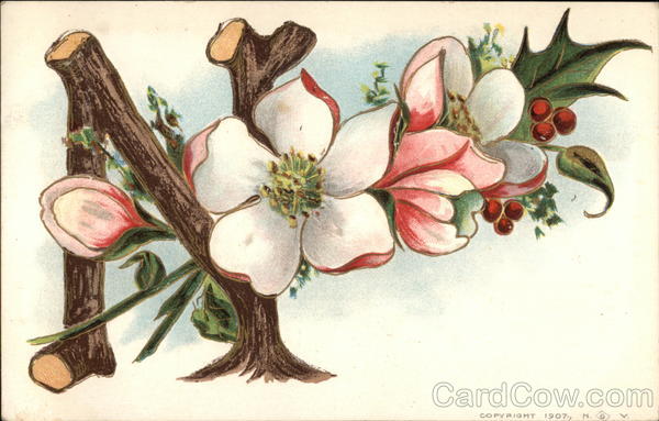 Letter N with Flowers Alphabet Letters