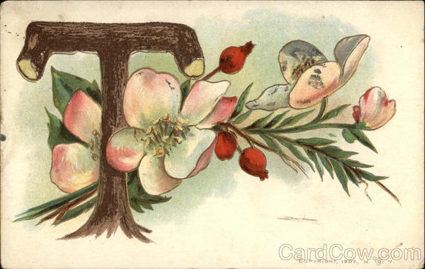 Letter T With Dogwood Blossoms Alphabet Letters